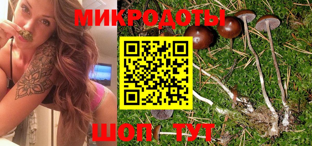 Псилоцибиновые грибы мухоморы Солнечногорск